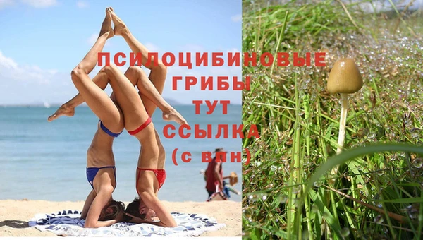 MESCALINE Белокуриха