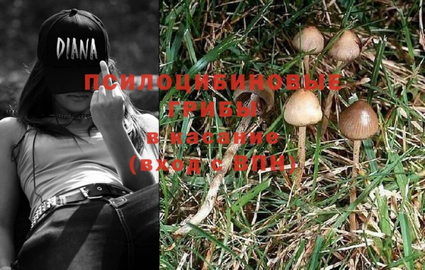 MESCALINE Белокуриха