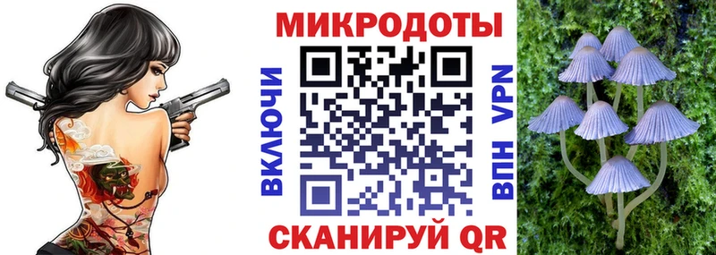 Псилоцибиновые грибы мицелий  Троицк 